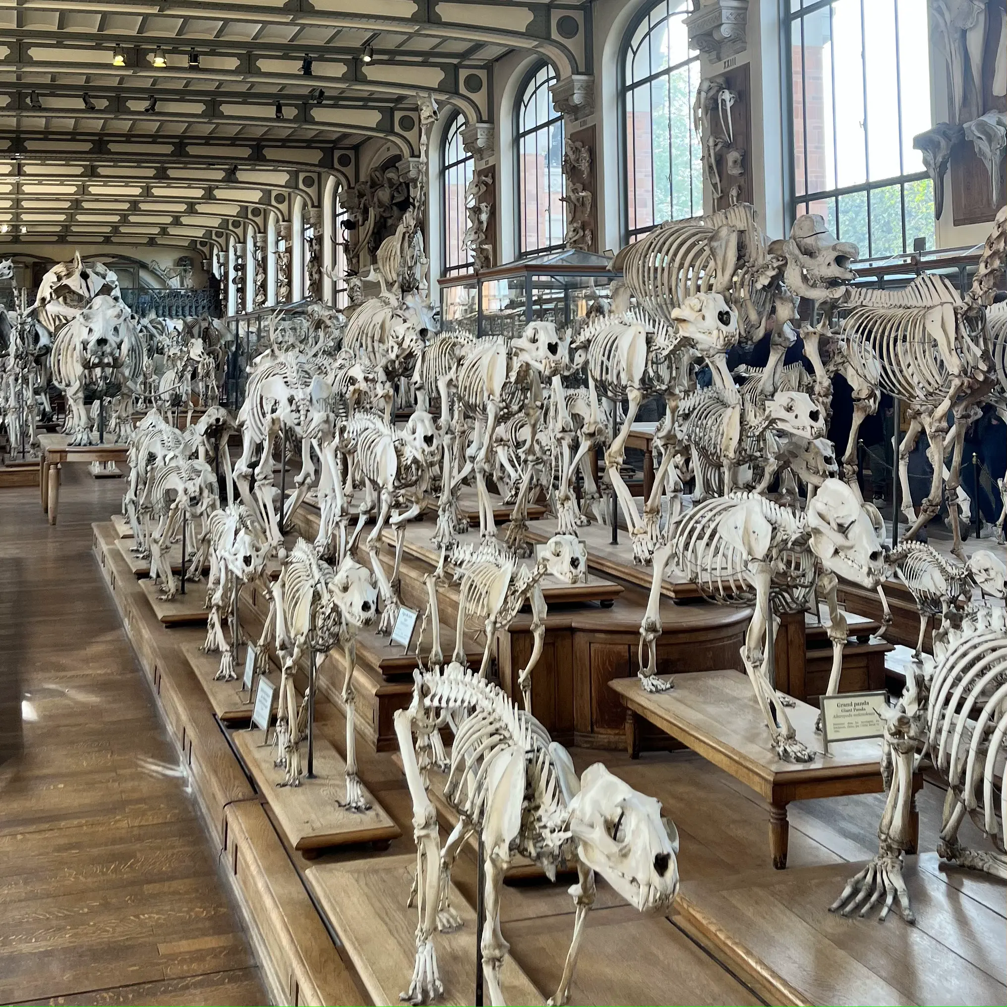 20231015-musee-histoire-nat-paris