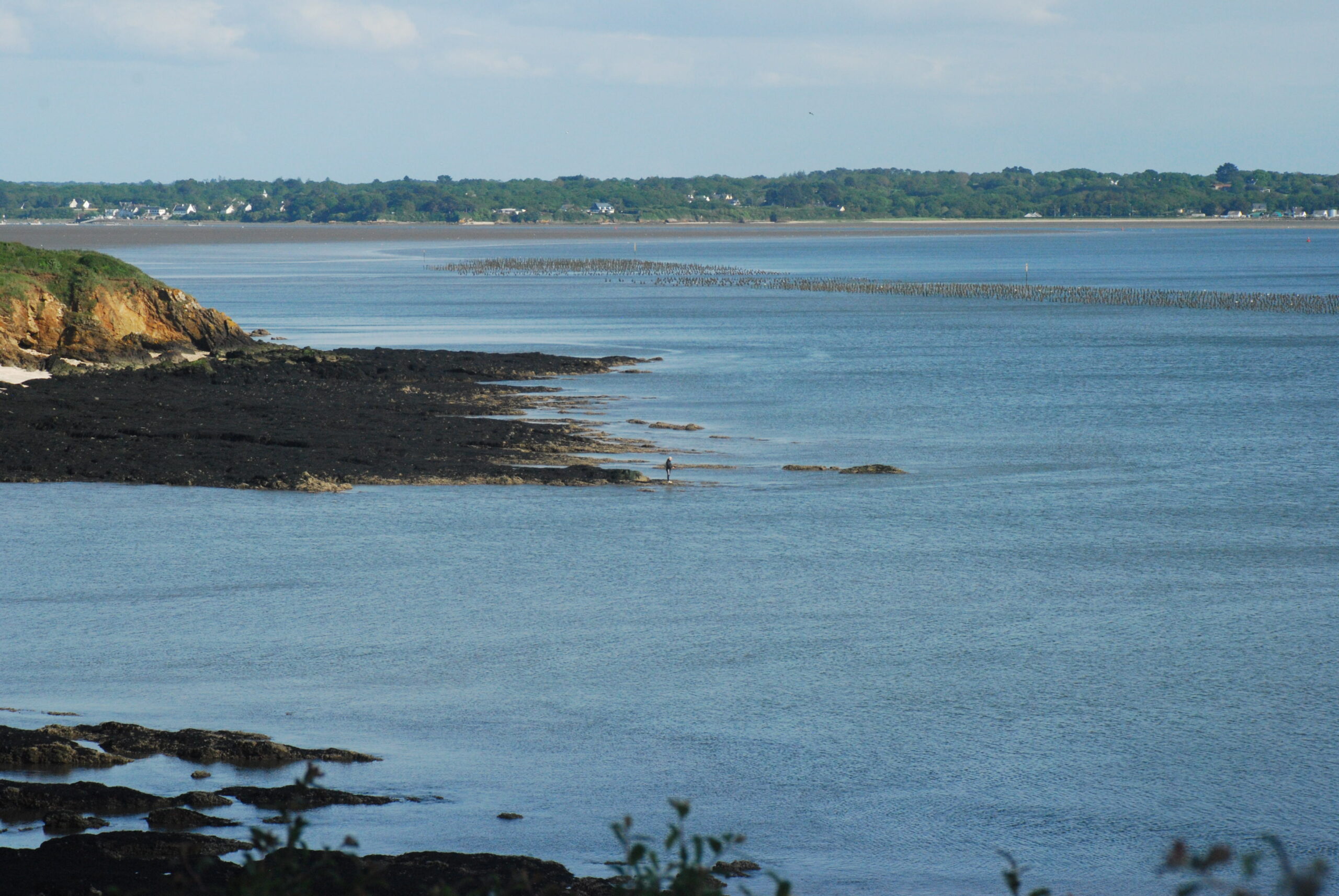 Le pêcheur