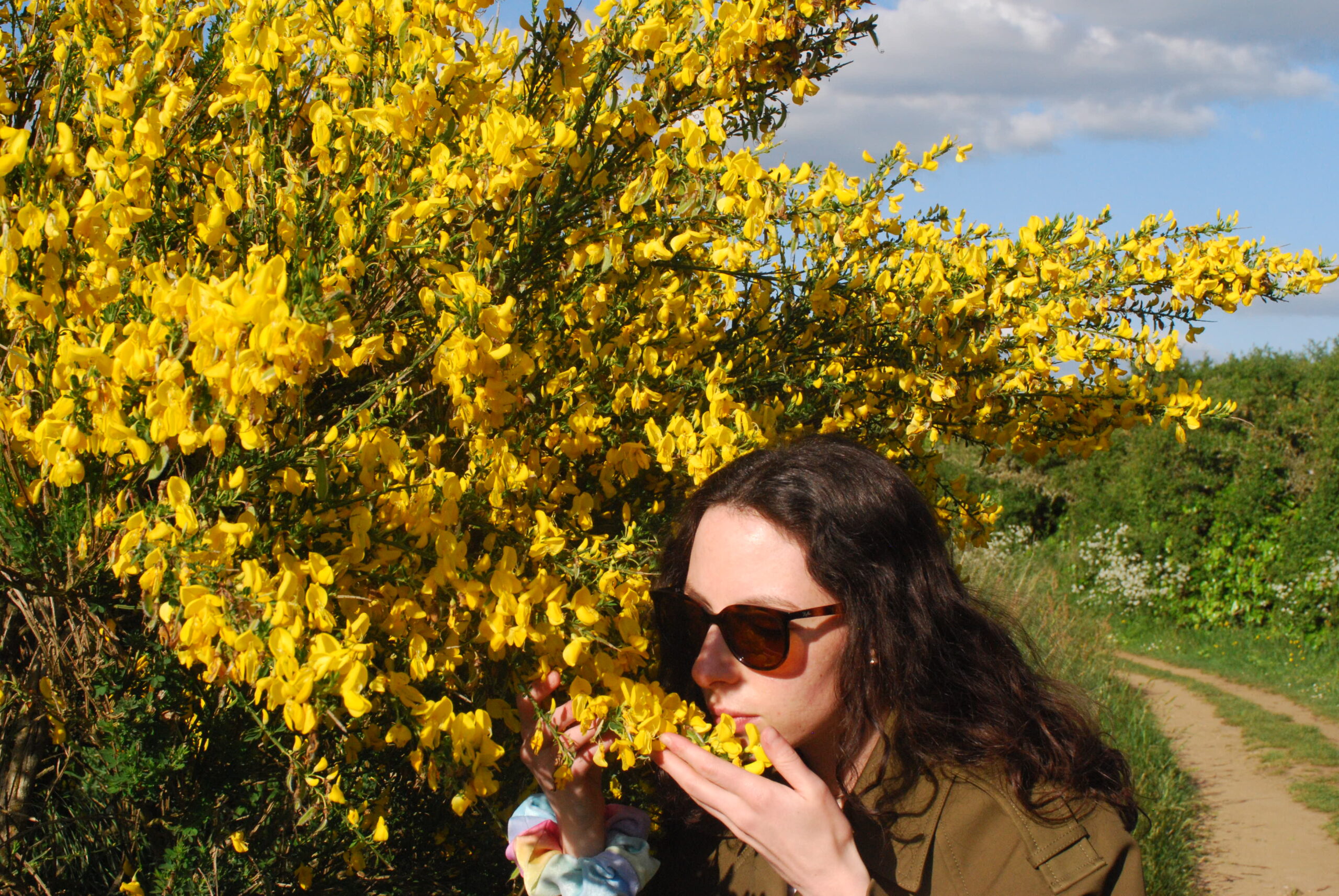 Encore des fleurs