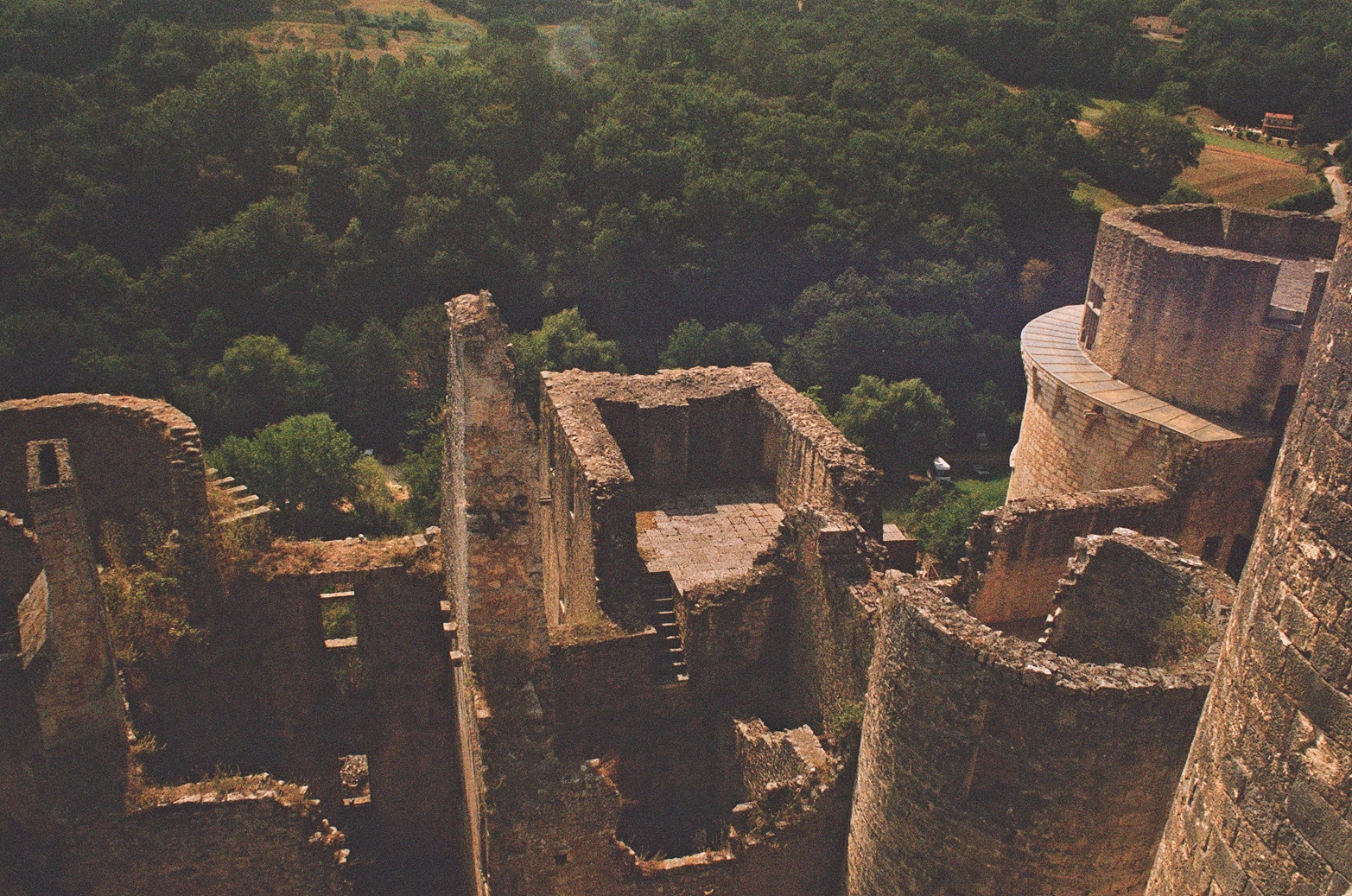 Un chateau et des oies
